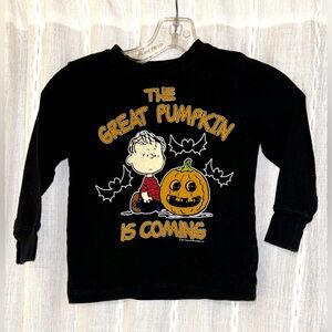 Peanuts “The Great Pumpkin” long sleeve tee shirt. Child’s —- 2011